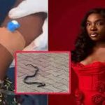 The Efficiency Gambit: SoftBank and Ampere’s CPU Play Reshapes AI Infrastructure