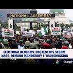 Hurray For A True Amazon