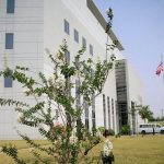 Trump Faults CNN’s  Ceasefire Report, Links Source To Unnamed Nigerian Media Outlet